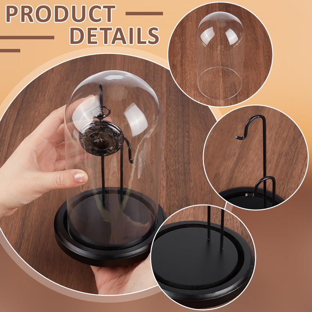 PH PandaHall 12.7x19.8cm Cloche en Verre d'Affichage Dôme de Présentation pour Montre de Poche avec Base en Bois et 2 Crochets pour Présenter Montres de Gousset, Bijoux, Médailles, Photos
