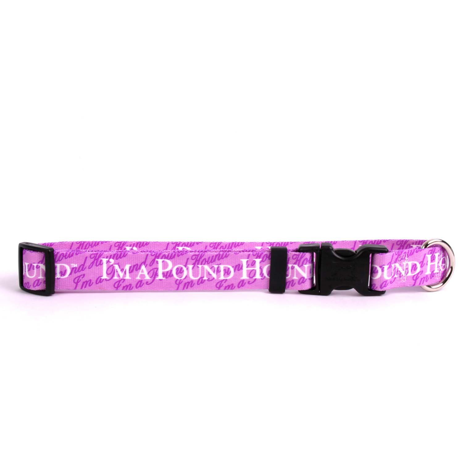 Yellow Dog Design Pound Hound Standard Collar Size: Large (1" x 18-20")