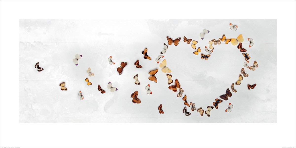 The Art Group "Ian Winstanley Butterfly Heart Paper Art Print, Multi-Colour, 50 x 100 x 1.3 cm