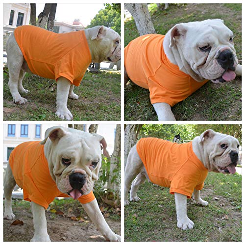 Lovelonglong 2019 Pet Clothing Dog Costumes Basic Blank T-Shirt Tee Shirts For Small Dogs Orange S #TOP7