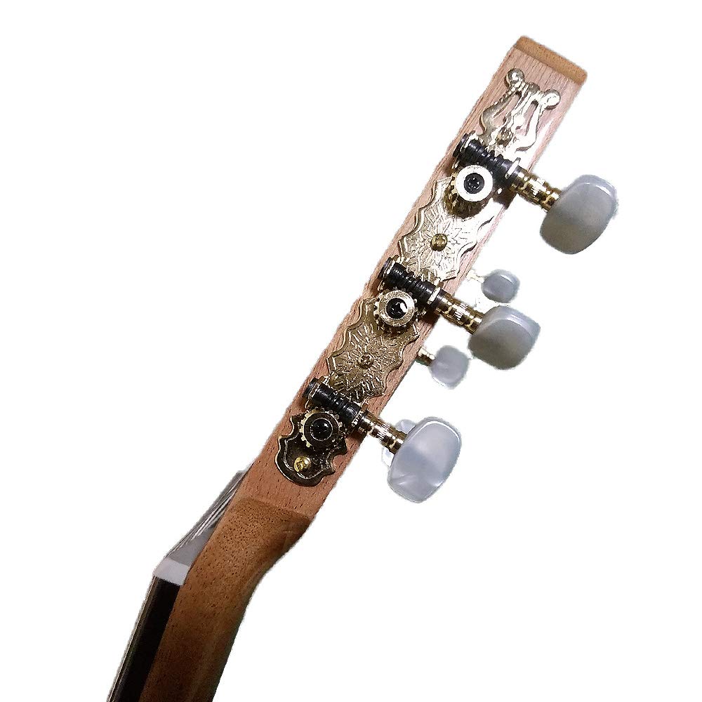 Amazon | Kremona Guitars クラシックギター SOFIA GUITAR S65C 650mm 