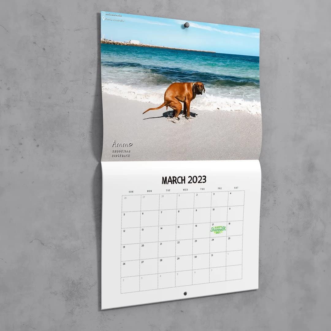 Amazon.com: Dogs Pooping In Beautiful Places 2023 Calendar - Holiday Christmas Gag Gift White Elephant : Office Products amazon-com-dogs-pooping-in-beautiful-places-2023-calendar-holiday-christmas-gag-gift-white-elephant-office-products