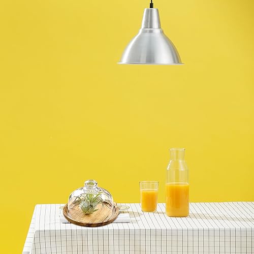 Miniatura 8 de Soporte de cristal para quesos de cúpula para pastel: Plato pequeño para pastel Cloche Plato de exhibición de pastel de madera, bandeja decorativa