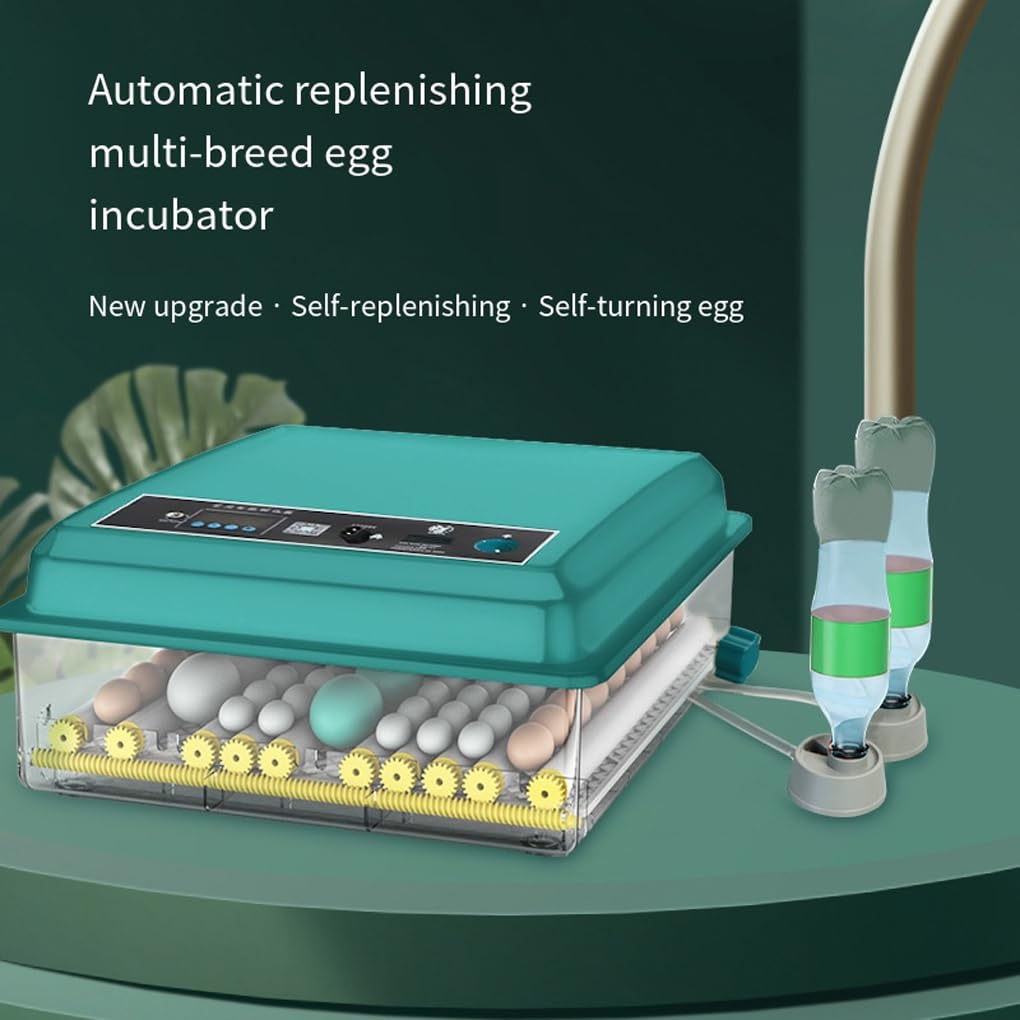 Incubateur automatique à écran couleur LCD pour œufs de volaille. 5
