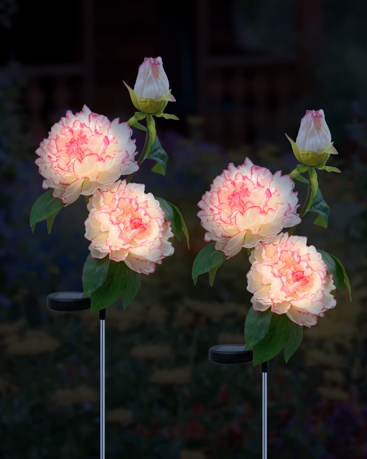 Homestarry Solar Garden Lights, Upgraded Flower Lights Solar Outdoor Lights Decorative, Waterproof Realistic Paeonia Flowers Outdoor Décor for Garden Party Pathway Yard Villa Lawn (2 Pack, Red)