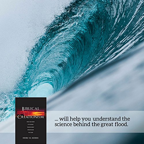 Master Books 077143 Biblical Creationism: What Each Book Of The Bible Teaches About Creation & The Flood thumb #4