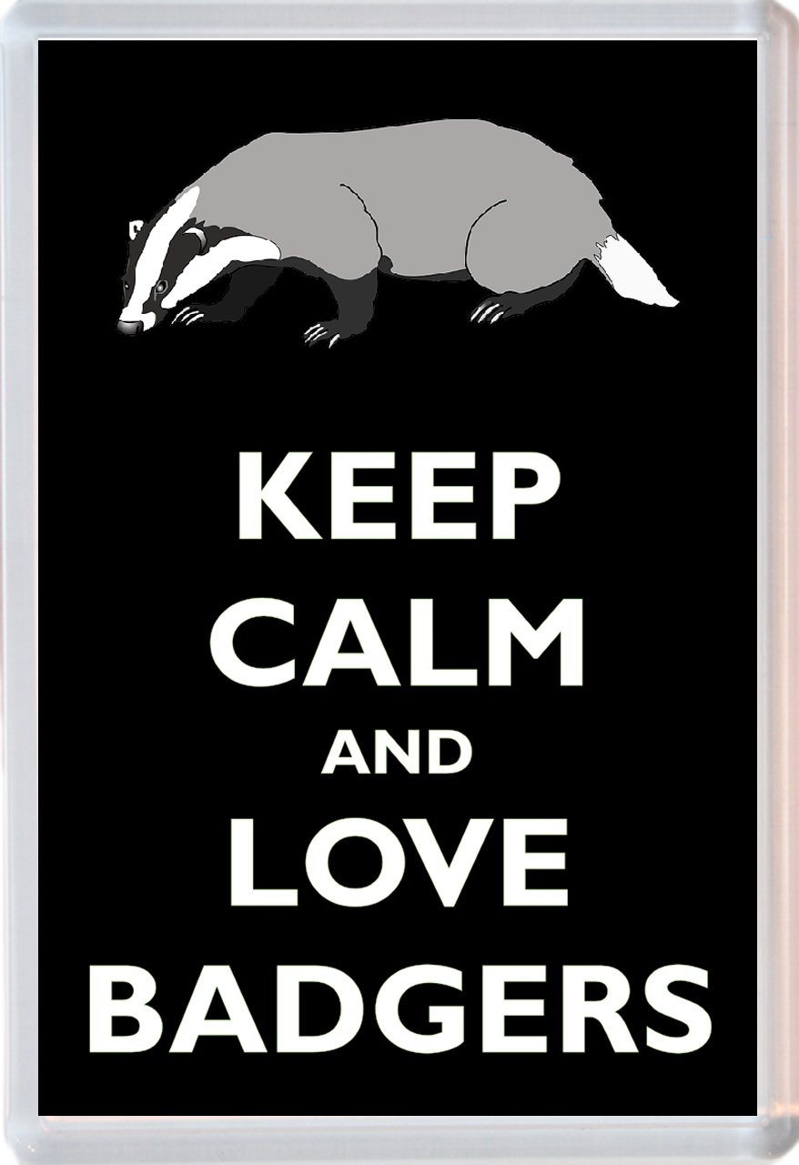 Baked Bean Store Keep Calm And Love Badgers/Badger - 96 X 67Mm Jumbo Fridge Magnet
