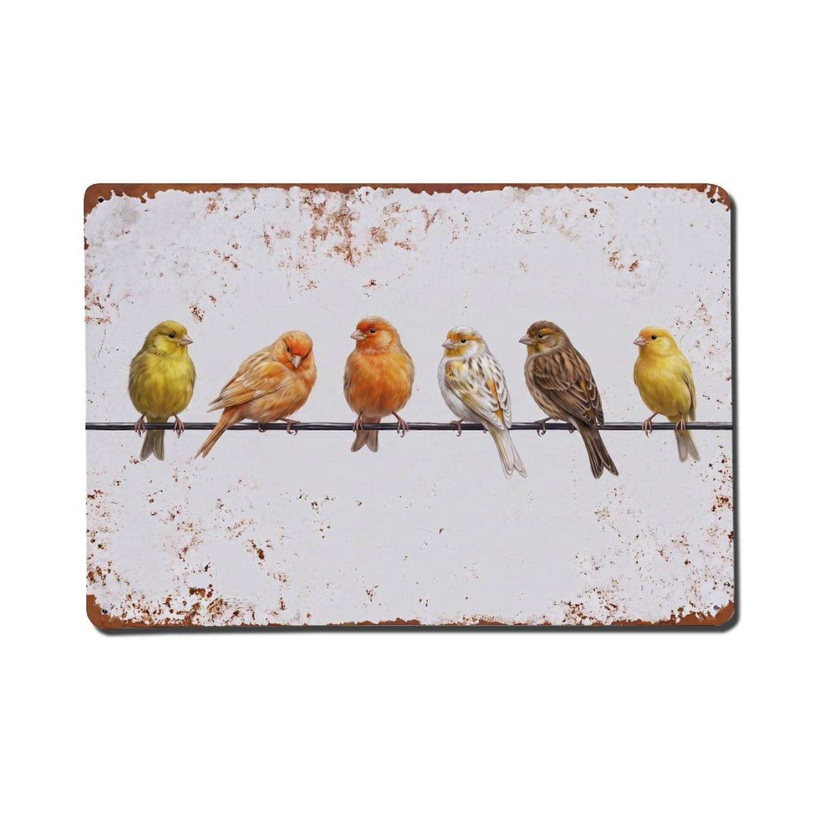 Vintage Retro Birds Canary Metal Tin Sign