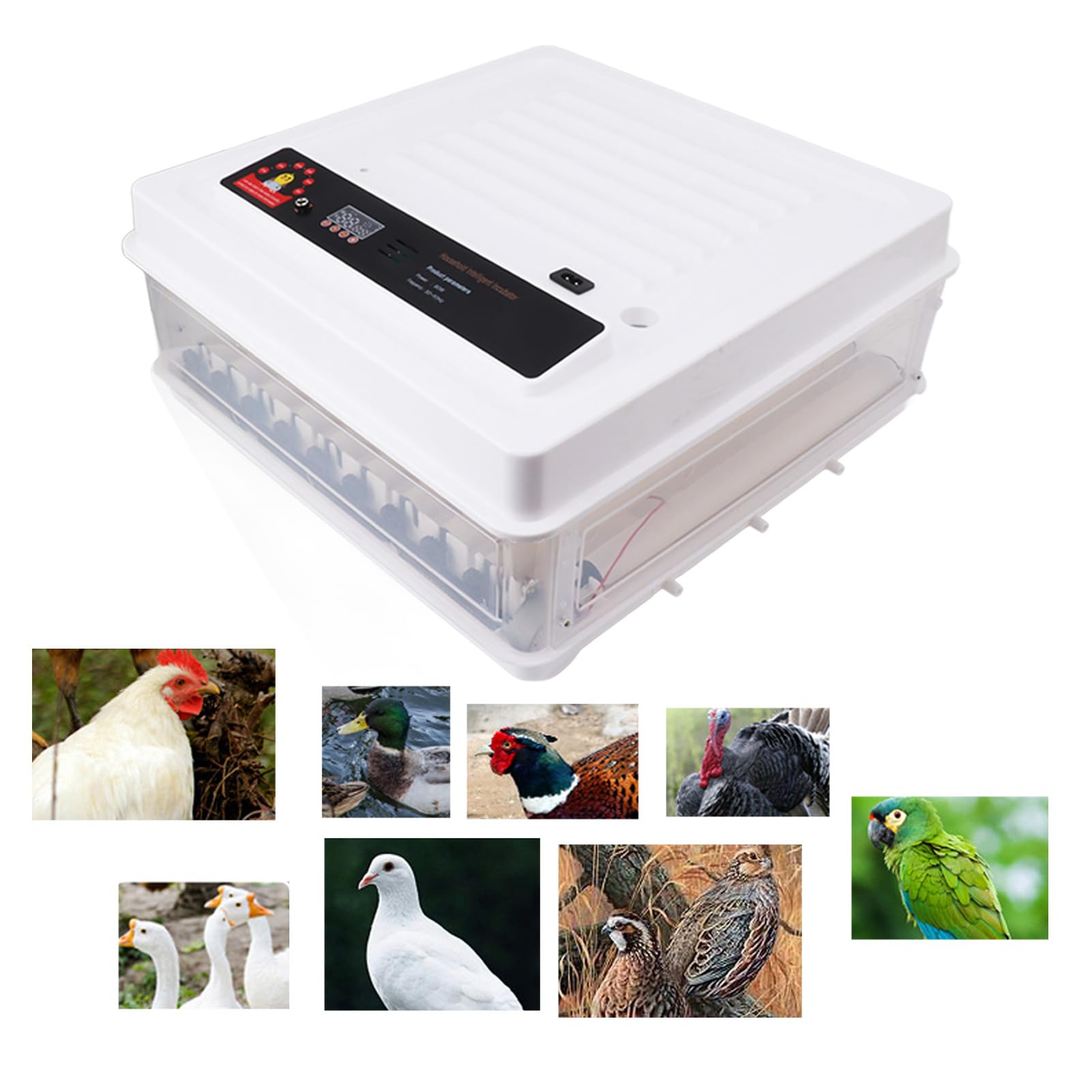 Generic Incubadora Automática de Pollo Inteligente con de Huevo para Incubar Huevos de Ganso de Ganso de Pollo Ideal para Usar Material Plástico para Usar en el Hogar (EU Enchufe 220V 64 Huevos)