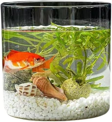 KryZaro^㓧 PET  XNGAJo[t E_JETp Ԑk͔|e (TCY)