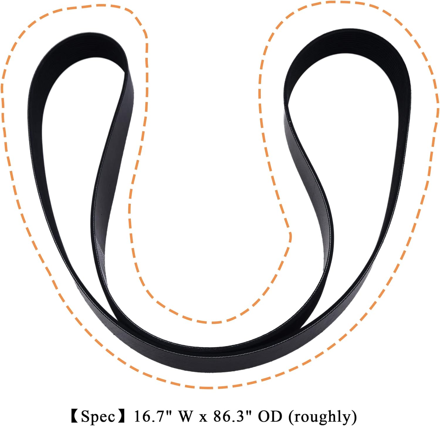 Serpentine Belt D84-1000-6122180 Replace for Paccar 6122180 ACDelco 12K858