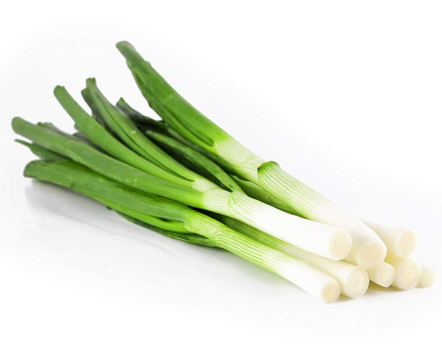 Golden Hills Farm Leek Green Onion Plant Seeds 300 Seeds (B07PCTY673) Amazon Price History, Amazon Price Tracker