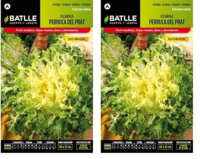 Semillas Batlle Escarola Doble Verano S. ESTIVAL (Paquete de 2)