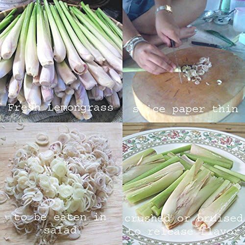 6 Fresh Lemon Grass