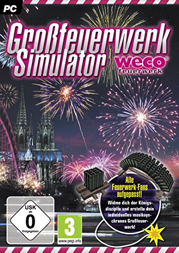 Preisvergleich Produktbild Großfeuerwerk-Simulator 2014