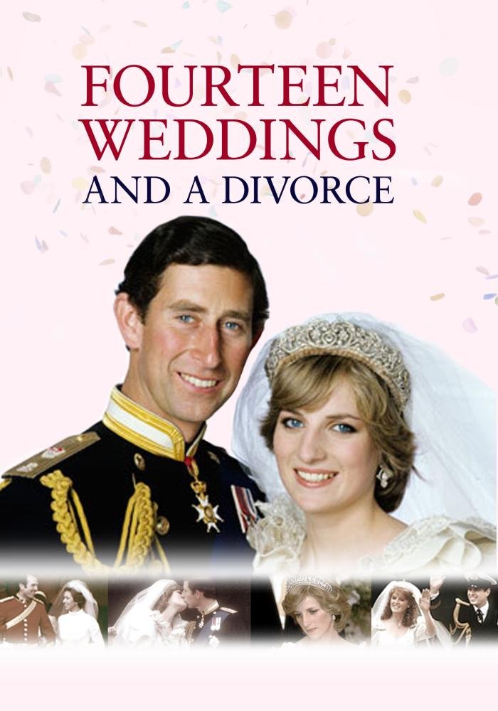 Fourteen Weddings & A Divorce DVD evita la perdida de tus peliculas favoritas