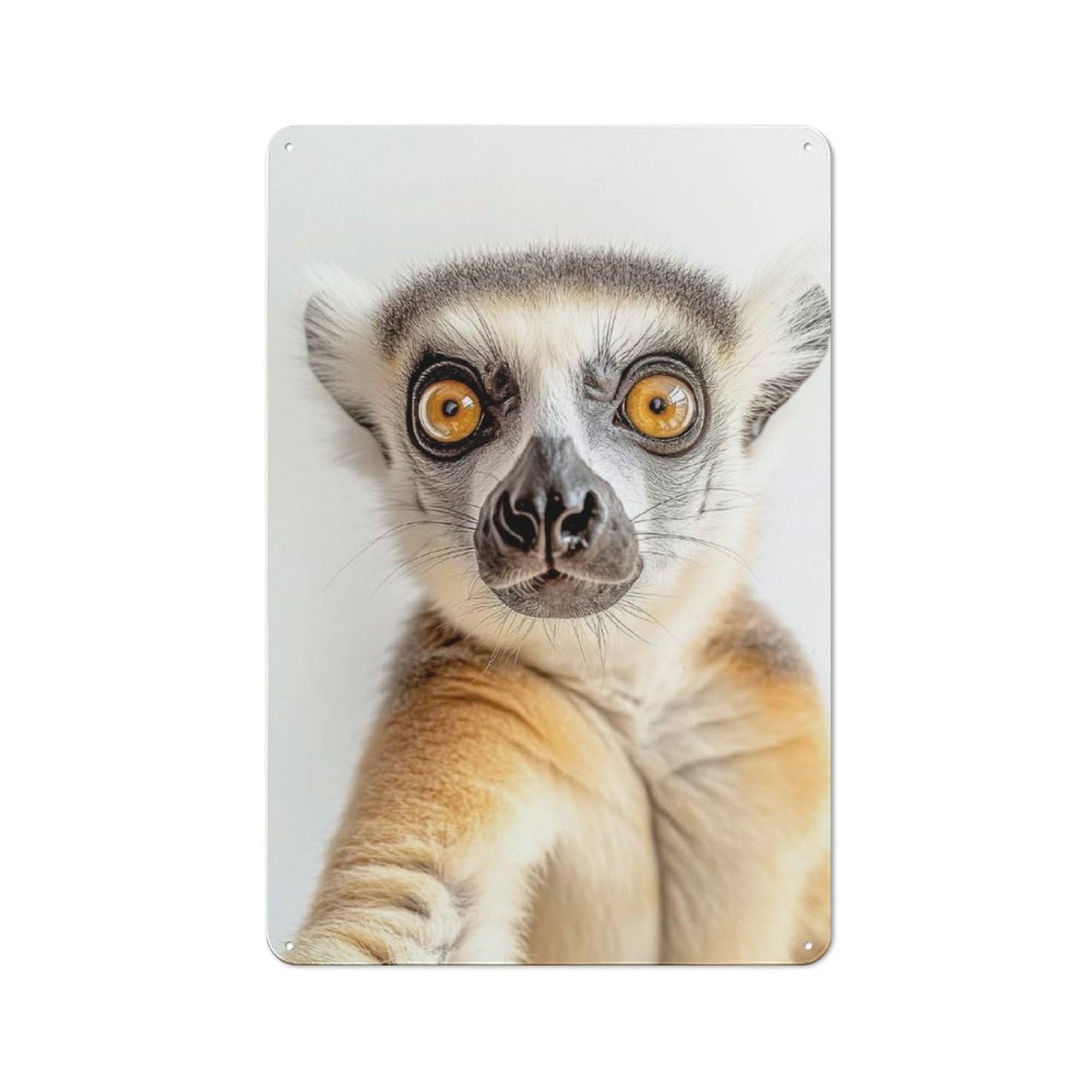 Junmoney Curious Ring-Tailed Lemur Selfie Tin Sign 30X20cm For Café Or Home Bar, Retro Wall Decor, For Garage, Workshop And Man Cave Decoration