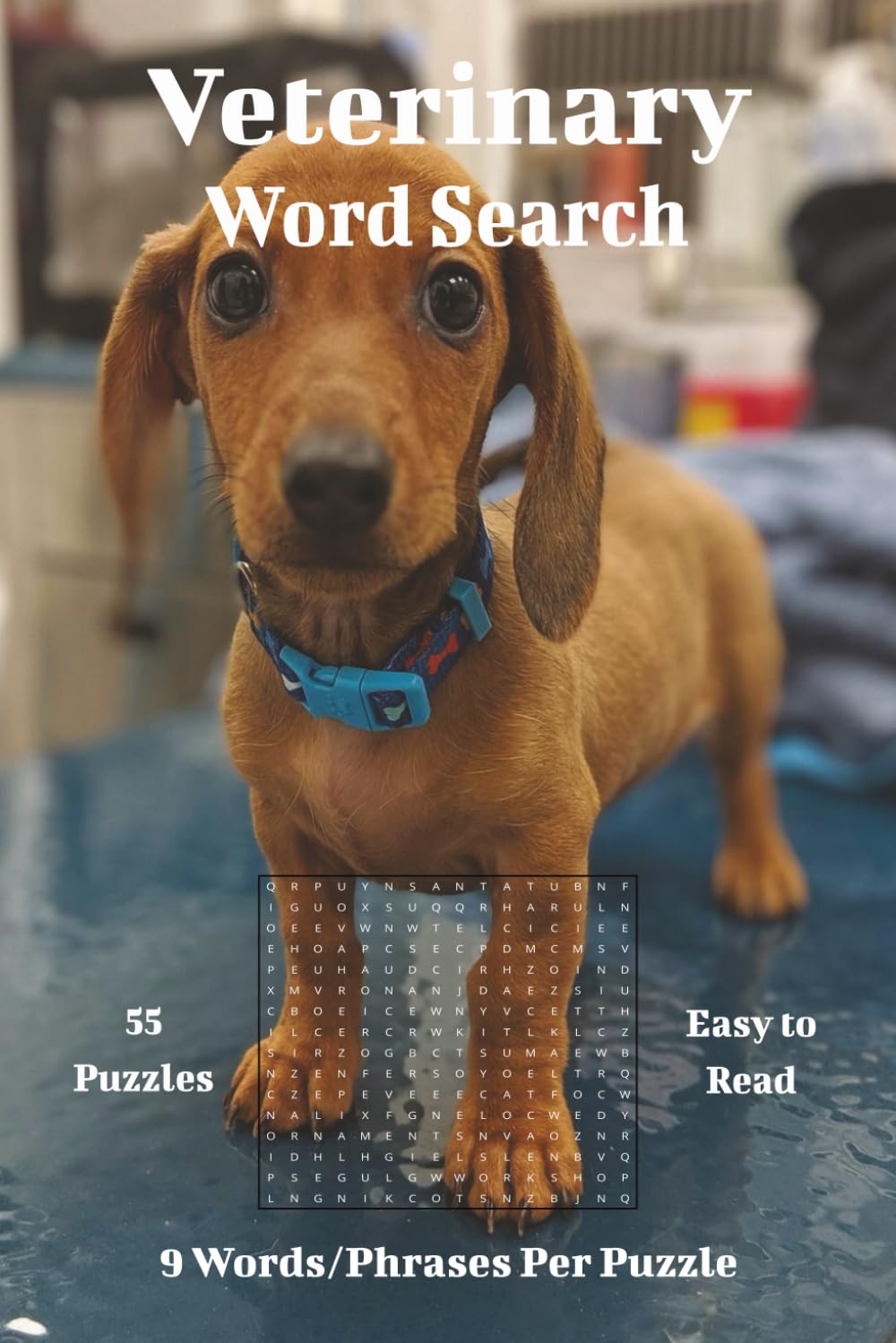 Veterinary Word Search: Animal Care Terms, Vet Lingo, and Pet Health Word Challenges