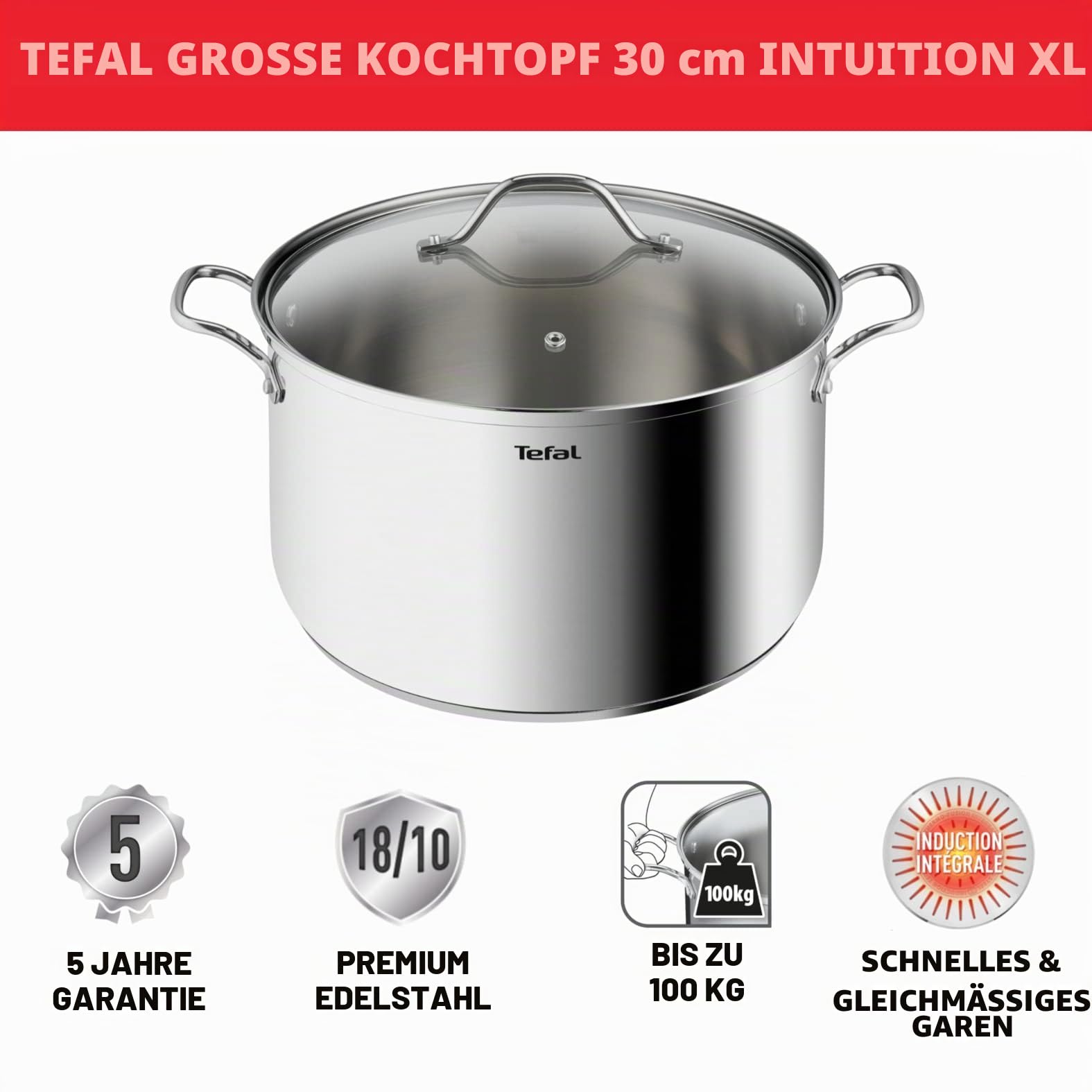 Tefal Intuition XL Großer Kochtopf aus Edelstahl, 30 cm/10 l, Induktion, 5 Jahre Garantie, Edelstahl 18/10, Premium-Qualität, Größe XL, robuste Griffe, Glasdeckel B8646904