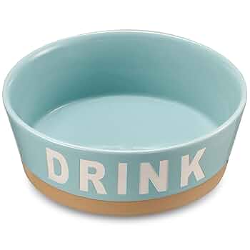 ミュージシャン Yogee New Waves Dog Bowl ミュージシャン Yogee New Waves Dog Bowl Yogee New Waves Dog Bowl