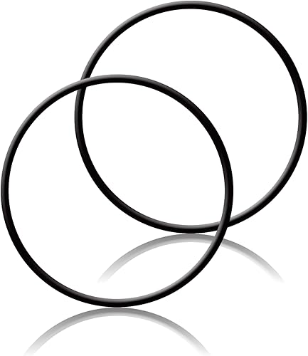 AXW542 - Junta tórica para tapa de bote de hojas de piscina para Hayward W530, W560 O-330 (juego de 2)