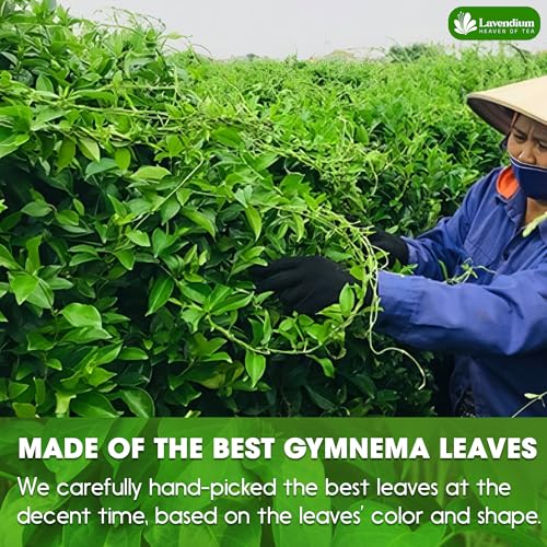 Image of Lavendium, Premium 60 Gymnema Leaf Tea Bags, 100% Natural & Pure from Leaves. Gymnema Tea Bags for Diabetics - COLD-DRIED for Maximum Freshness and Nutrient Retention. No Sugar, Vegan.