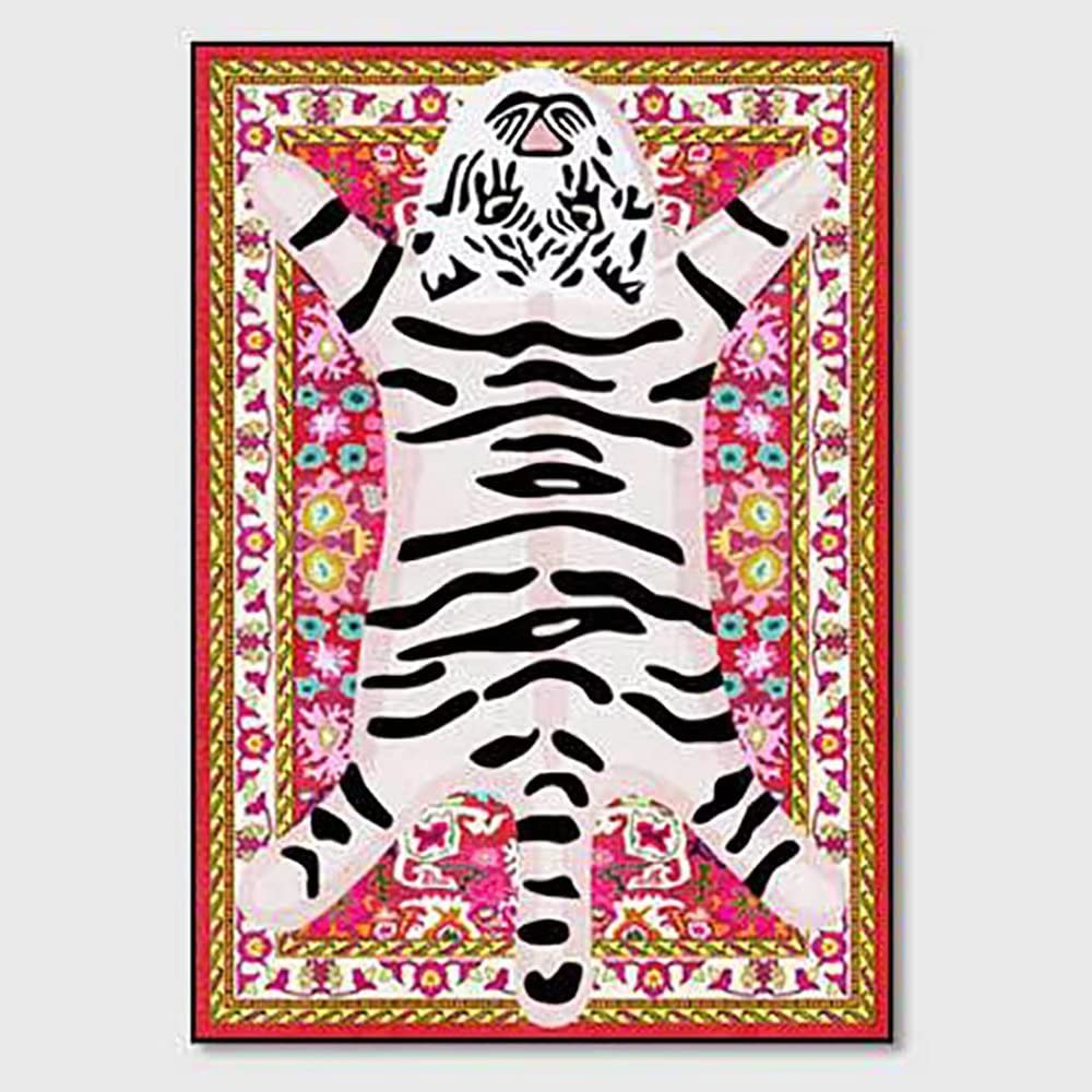 Cartoon Boho Rug for Bedroom 3x5 ft Colorful Tiger Area Rug Washable Funny Carpet for Living Room Non-Slip Modern Abstract Bathroom Door Mat Multi