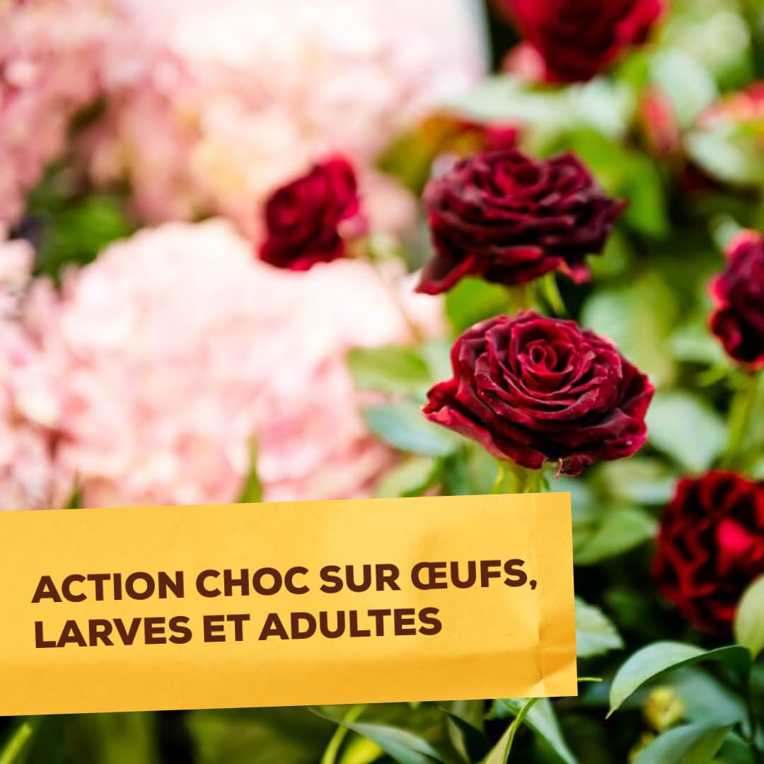 Anti Insectes - Action Choc - Traitement Concentré - 2x 250ml - Acariens Pucerons Ravageurs - NEUPINSPOLY250X2