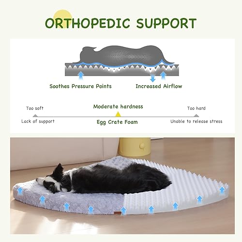 Miniatura 2 de Cama para perros S  Cama suave y esponjosa de espuma viscoelástica para mascotas con parte inferior antideslizante, lavable a máquina, forma de
