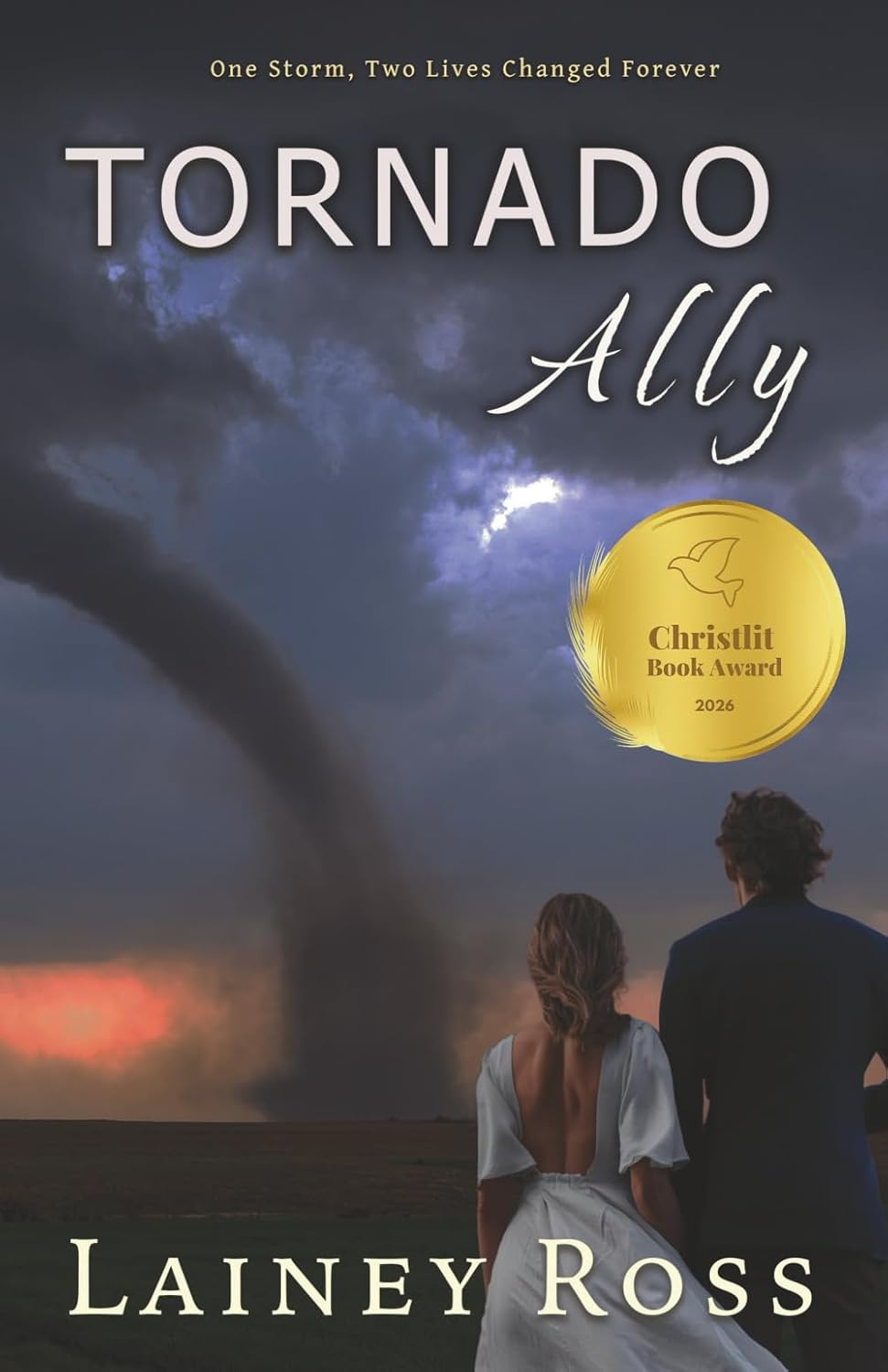 Tornado Ally: A Small Town Romantic Comedy (Blink, Oklahoma)      Paperback – September 2, 2024