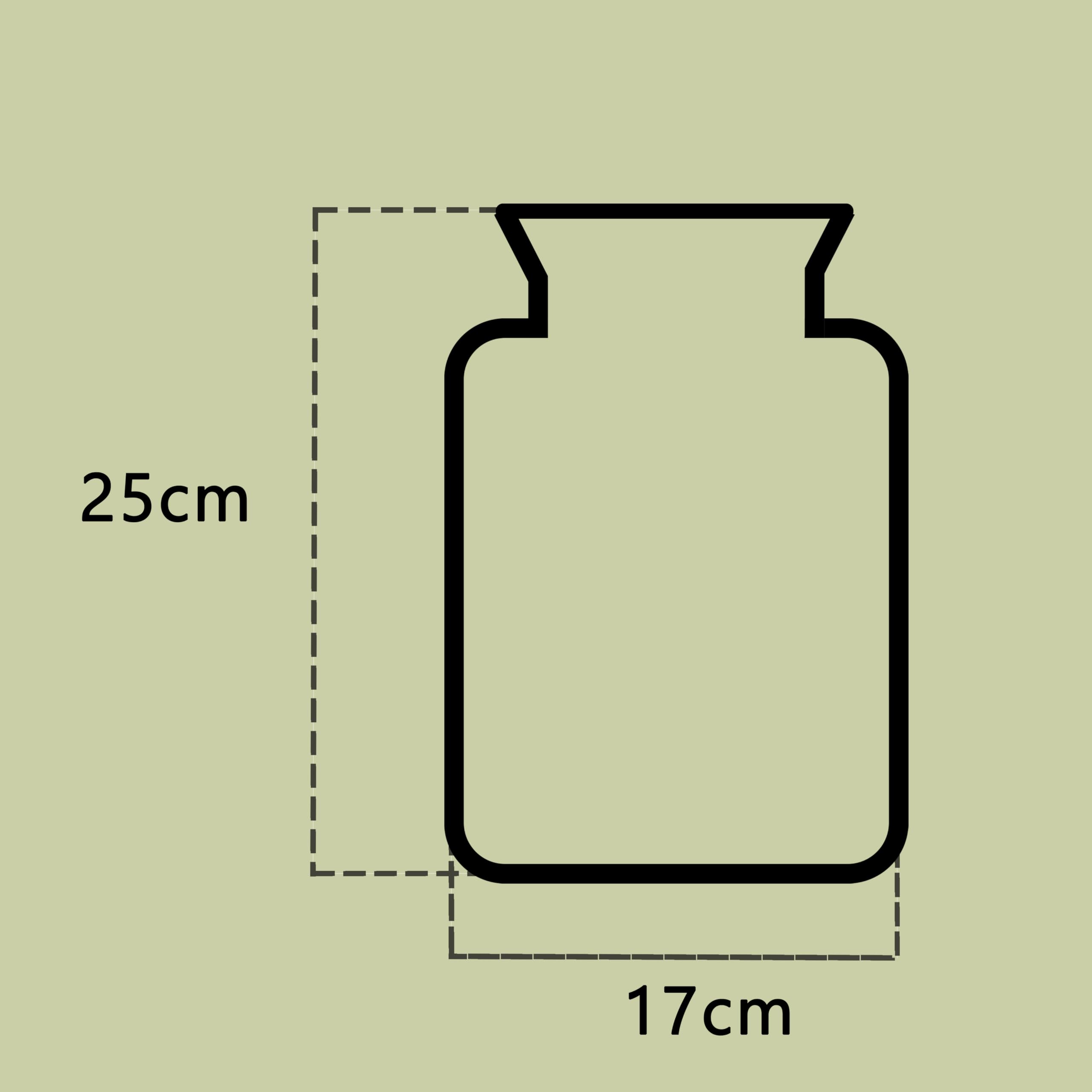 Glasgarten DIY Set „Kernige Fenja“ (Pflanzenterrarium/Flaschengarten)