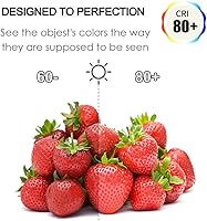 Vista 2 de Bombillas LED G8 de 60 W 75 W de repuesto de bombilla halógena, T3/T4 AC120V G8 base bi-pin (7 W) blanco cálido 3000 K para luces debajo