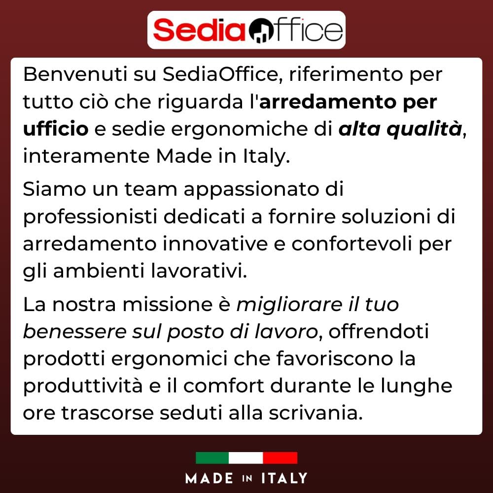 SEDIAOFFICE - Sedie Ufficio Senza Ruote, Sedia Scrivania Ergonomica, per Studio, Sala D'Attesa, Sala Riunioni e Conferenze, Comoda Sedia Ufficio in Tessuto Economica (Base, Nero)