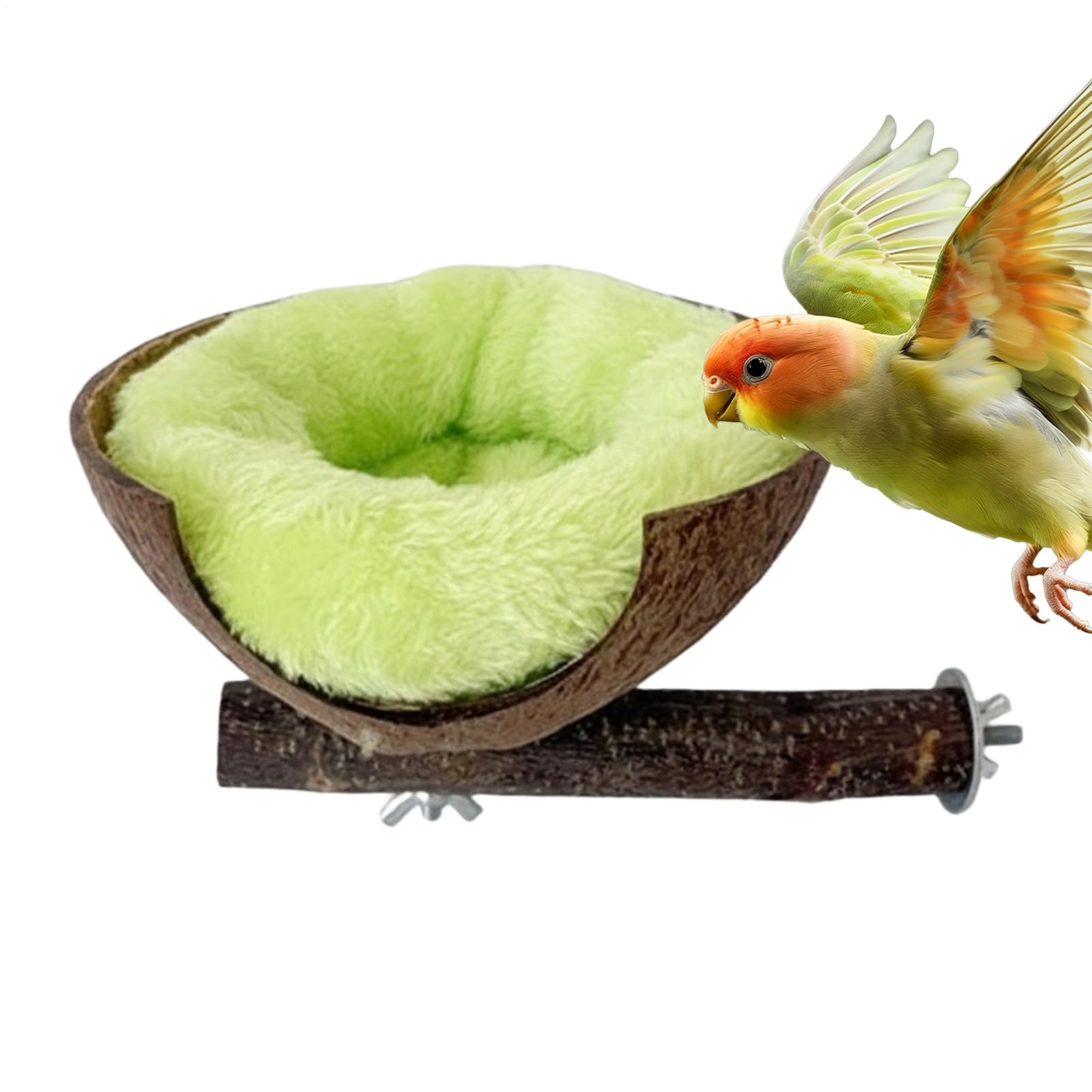 Per Uccelli Casetta Anti Beccate