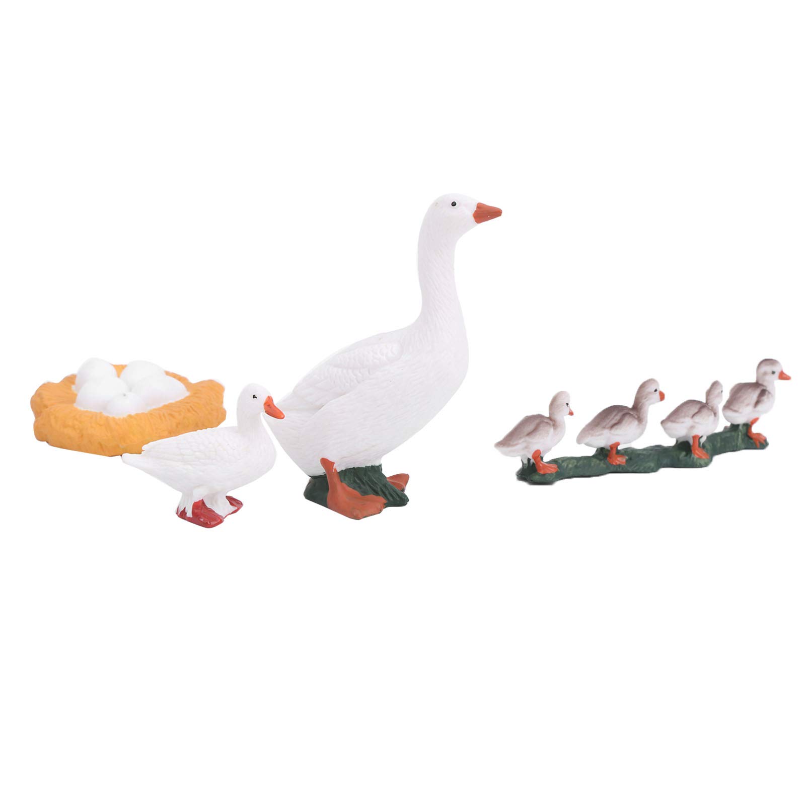 4 Stage Growth Cycle Model Animal Duck Life Cycle Children Educational Toy (A), Default - Image 3