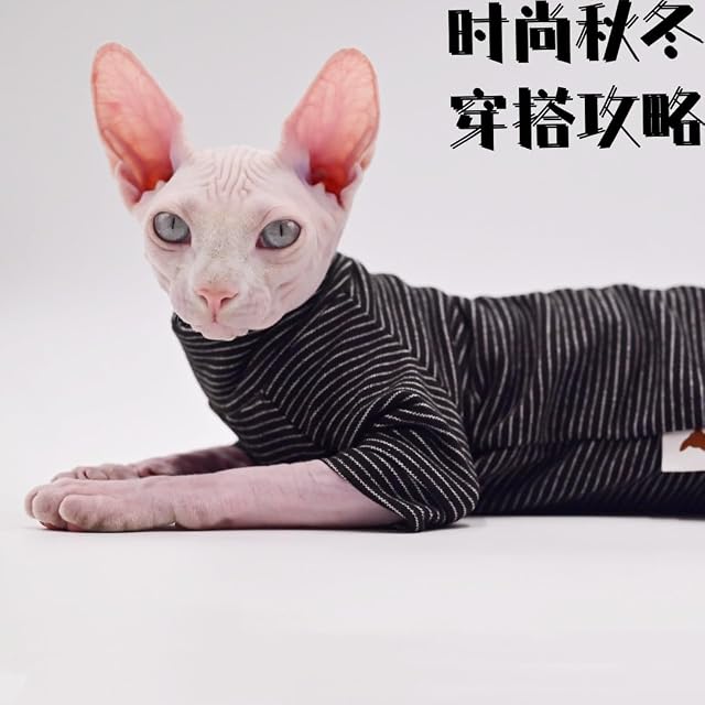 Foto 7 de 7 de Ropa de gato sin pelo de terciopelo de cuatro patas, ropa cálida de otoño e invierno para gato Sphynx