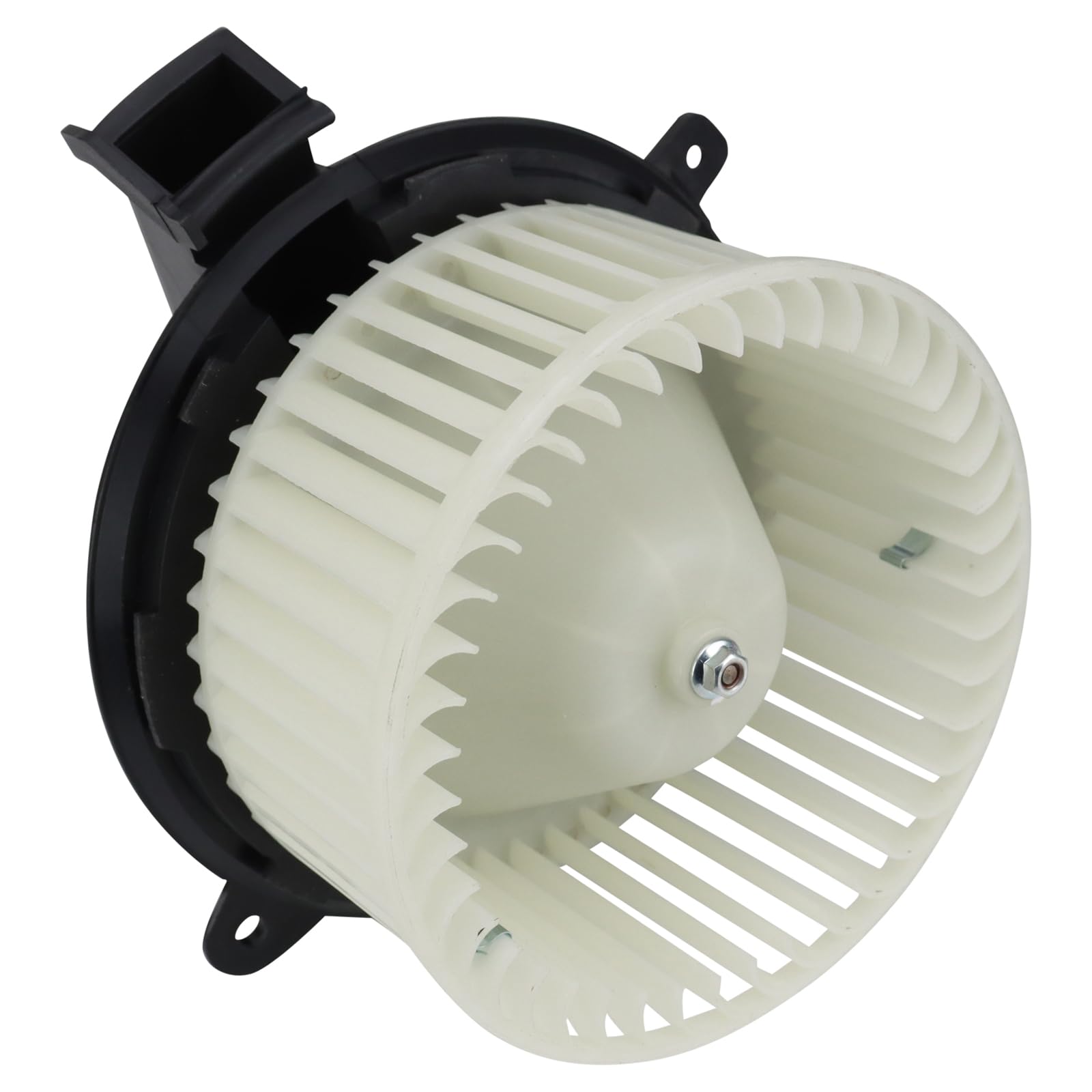 TRQ Heater Blower Motor &amp; Cage Front