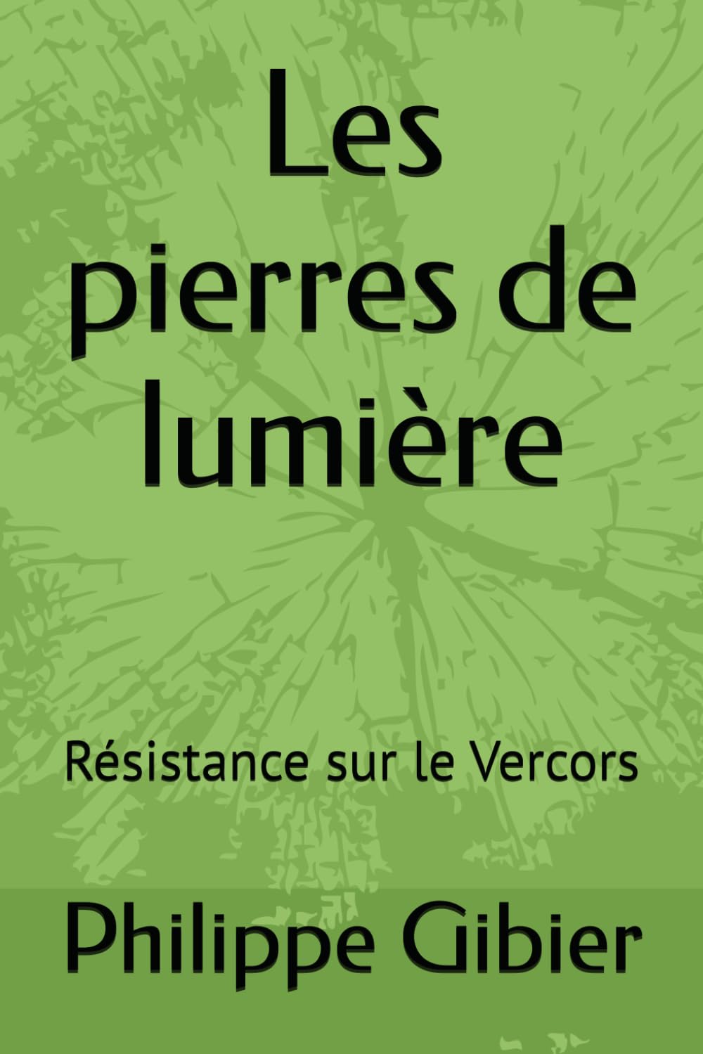 Les pierres de lumière: Résistance sur le Vercors