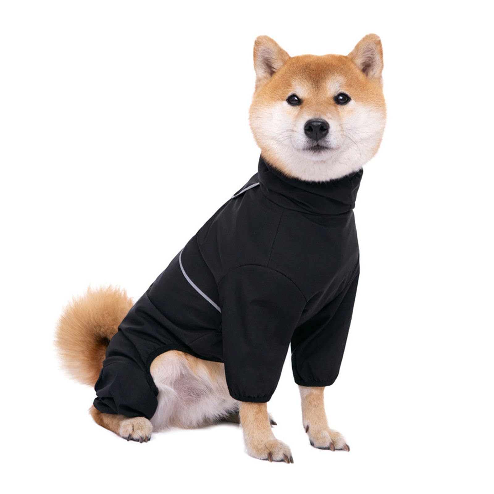 Combinaison de pluie pour chien idéale pour les activités de plein air