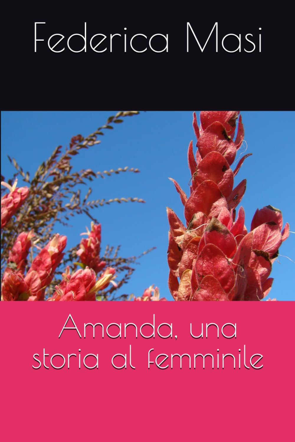 Amanda, una storia al femminile