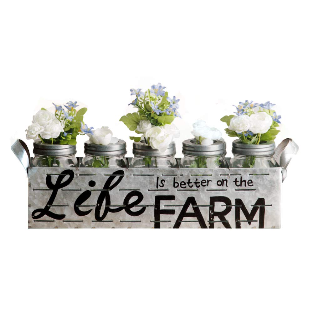 Vases for Flowers Set - Steel Metal Rack Stand | Window-Sill Display Set of 5 Crystal Clear Floral Hollow Cap Jars | Decorative Ornamental Elegant Masterpiece for Home