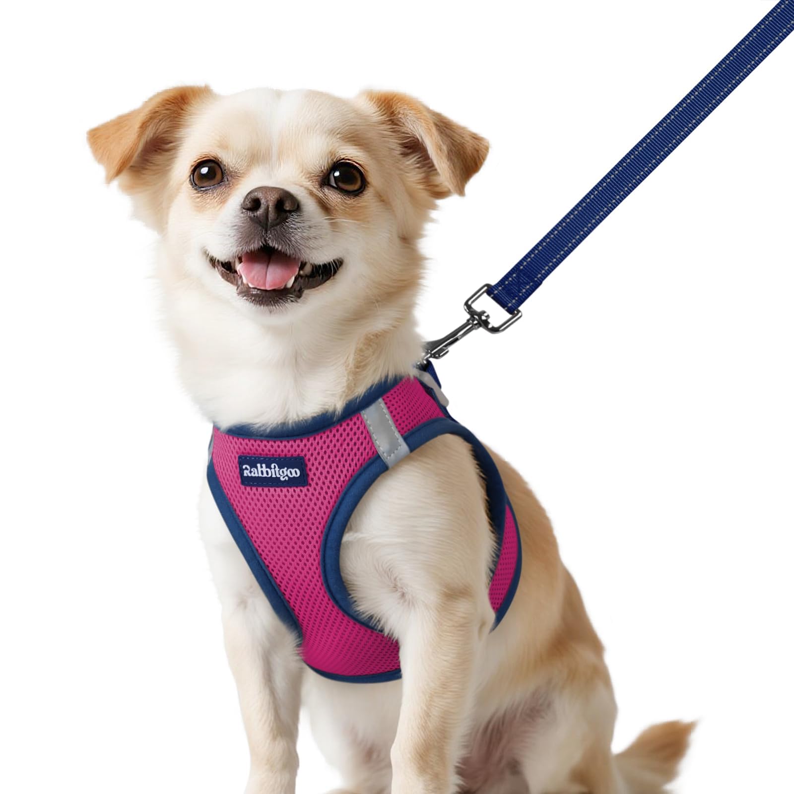 rabbitgoo Dog Harness Small Sized and Leash Set