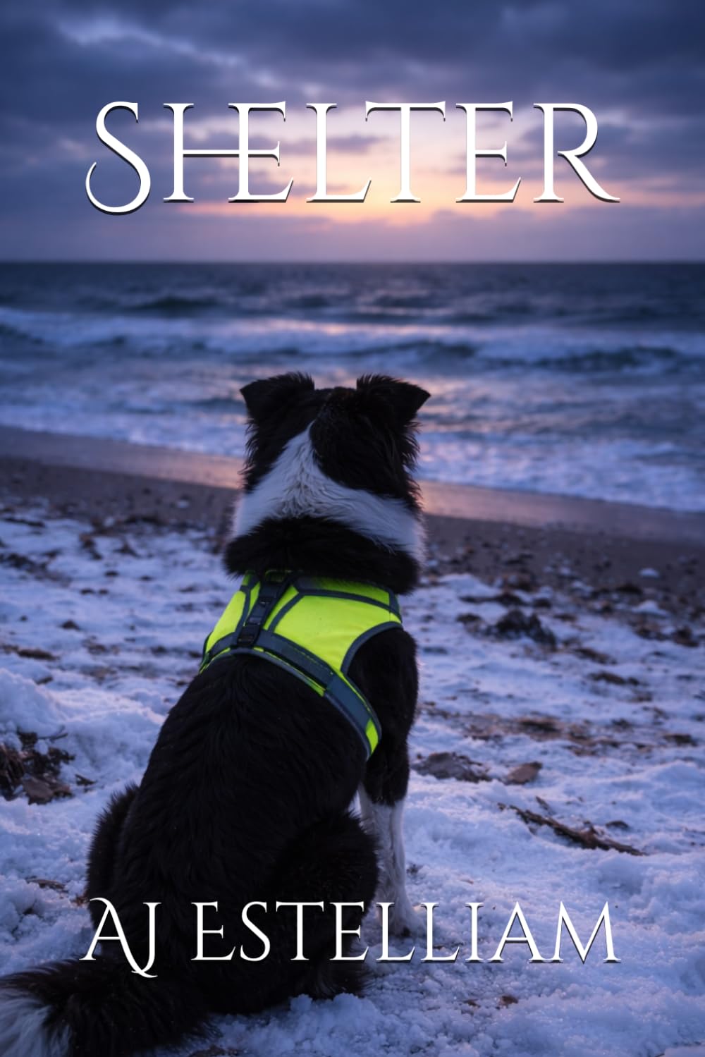 Shelter (Emerson and Snow)