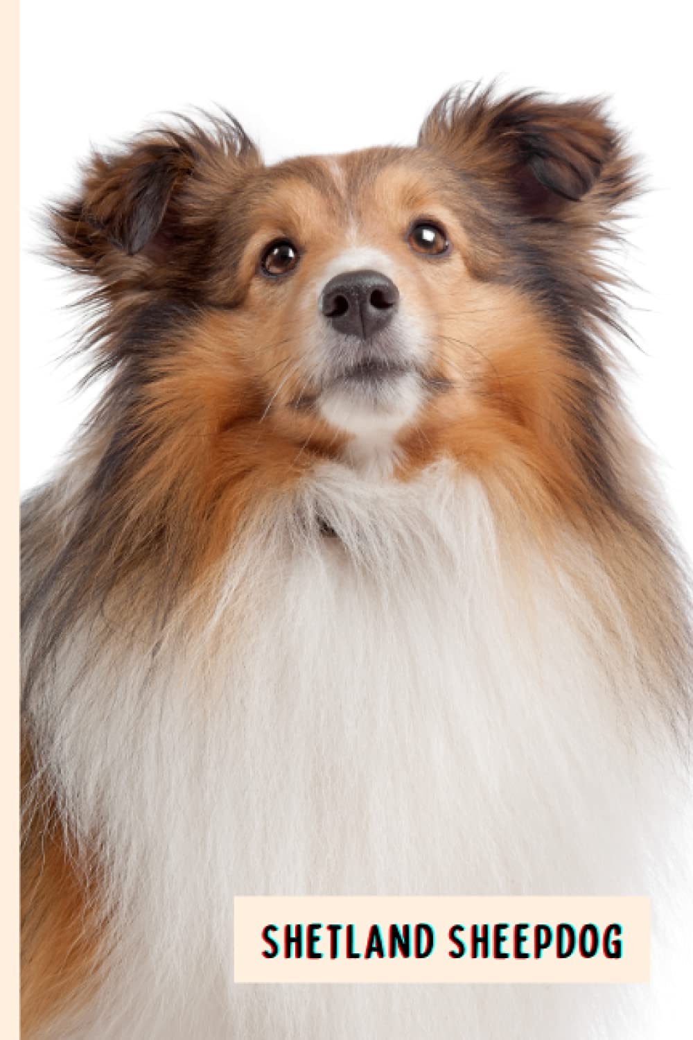 Shetland Sheepdog: Perfect Shetland Sheepdog Journal for Memories And Notes , Shetland Sheepdog Notebook ( 110 Pages, 6x9 )