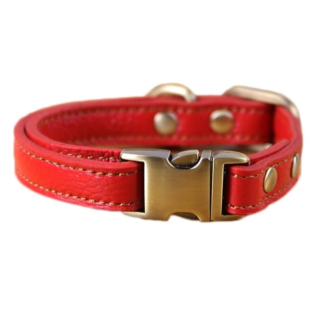 Collar para Perro Collar básico de Piel con Cierre de Clic, Ajustable
