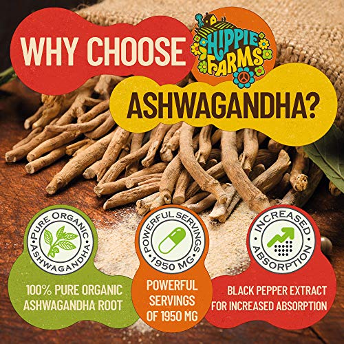 Hippie Farms Farm Grown Stress Support - Ashwagandha Root, Lion's Mane & More - Bass Player Heads East Blend #TOP4
