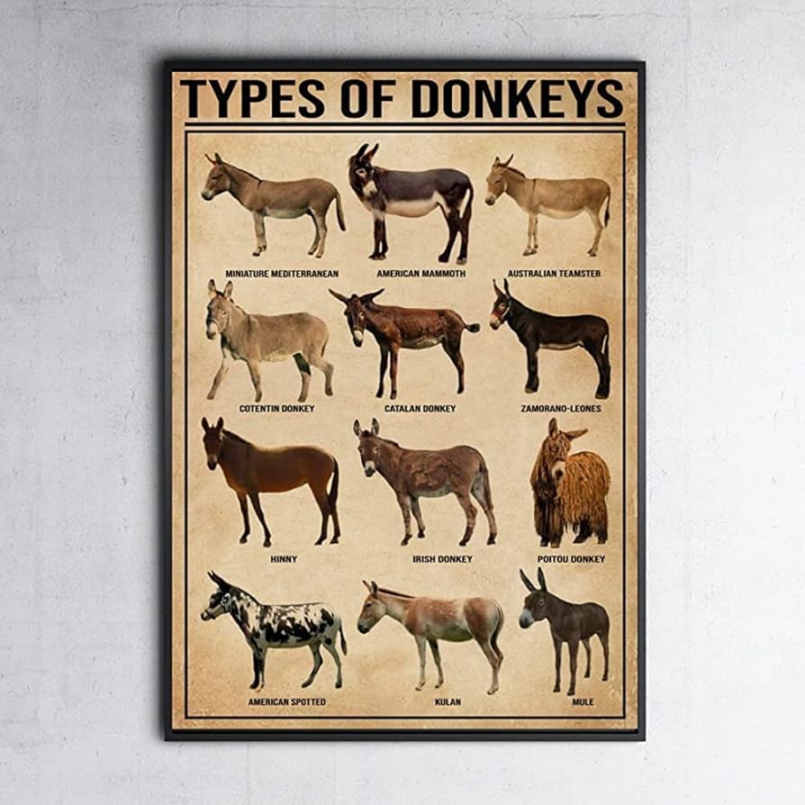 Amazon｜ロバの種類20x30cm金属錫サインロバの知識農家の