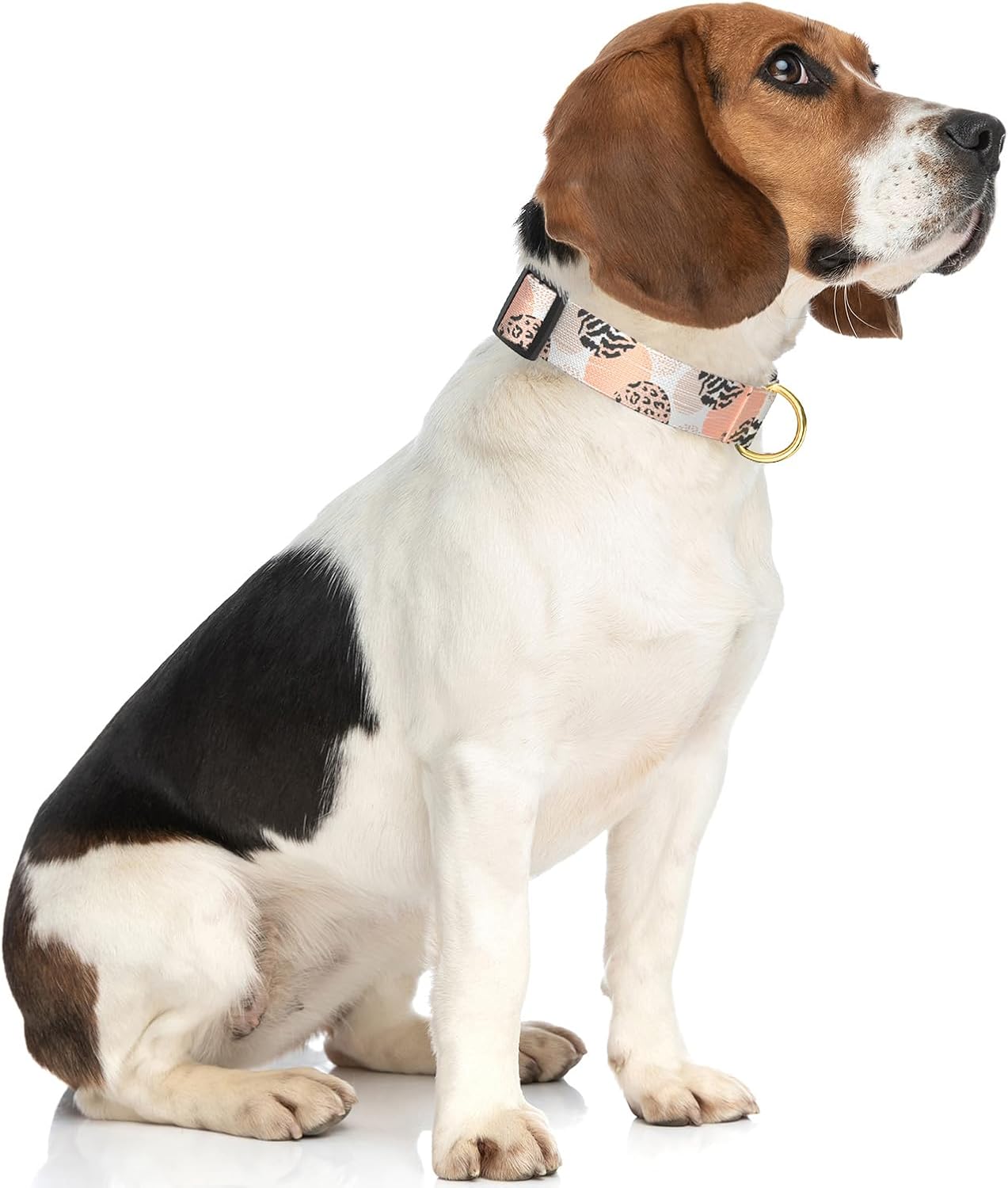 Rnivvi Dog Collar for Medium Dogs, Cute Heavy Duty Adjustable Puppy Collar with Quick Release Buckle for Boy Girl & Female, Pet Accessories for Walking Running, M Length 1" Width, Modern Abstract Art image 2