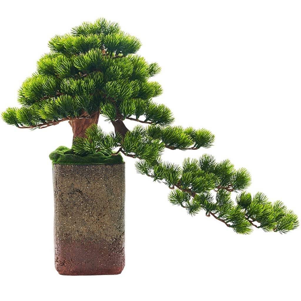 Plantes artificielles de pin pour salon et bureau en pot céramique