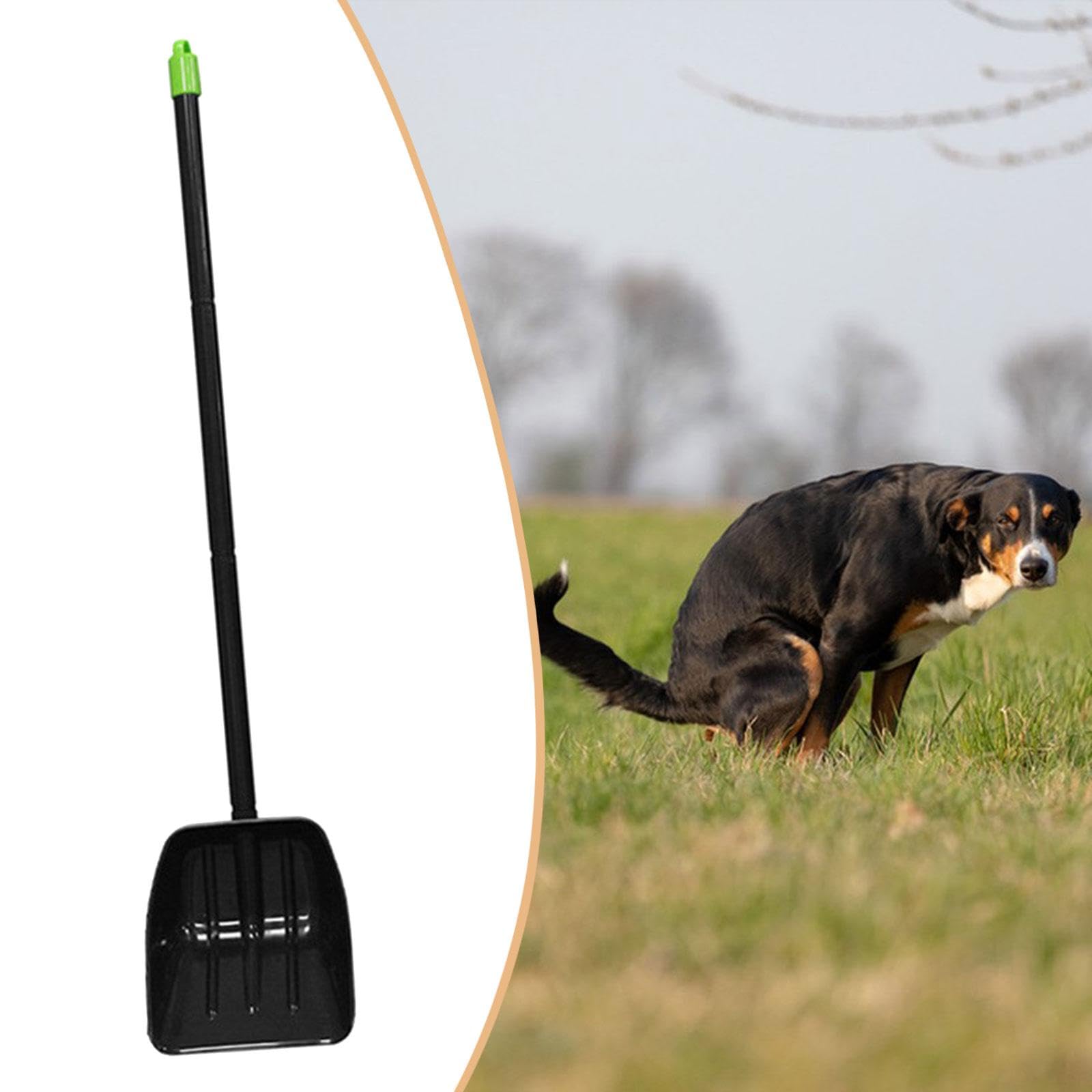 2 Piezas Recogedor de Excrementos de Perro Robusto Pala de Limpieza Manual Utensilios para Mascotas Livianos Fabricados en Material PP Adecuada para J, 1 Pieza, Individual